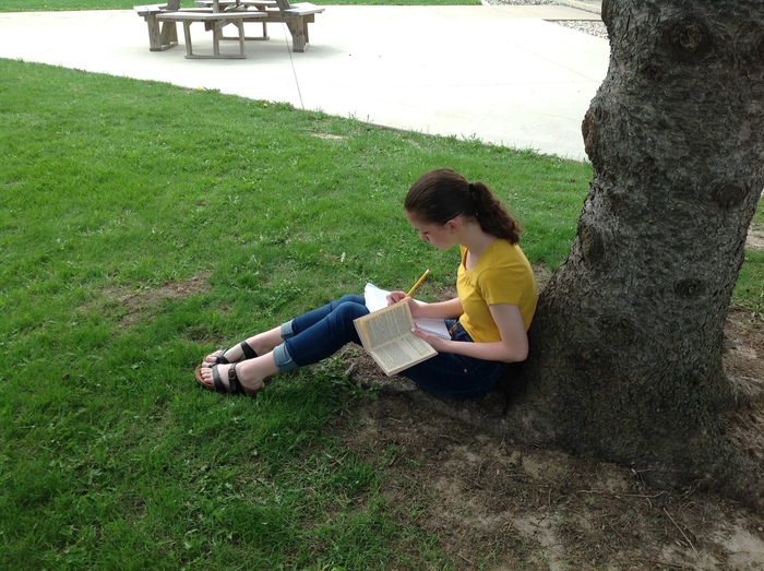 Reading in the sun/shade
